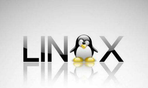 Linux是什么？它是哪个国家开发的