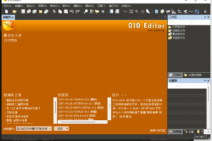 010 Editor v13.0.1 简体中文汉化破解绿色版
