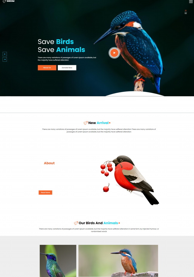 拯救鸟类拯救动物HTML5网站模板1014