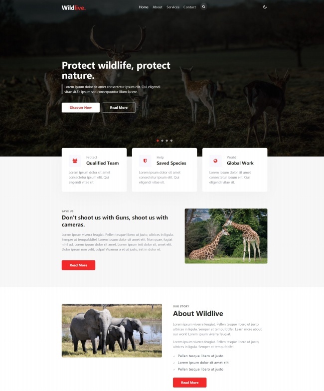 保护野生动物新闻资讯网站模板123