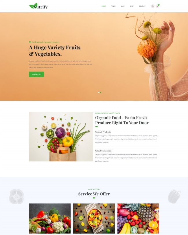 有机水果蔬菜HTML5网站模板508
