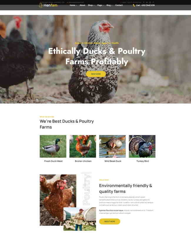 HTML5生态农场家禽网站模板1016