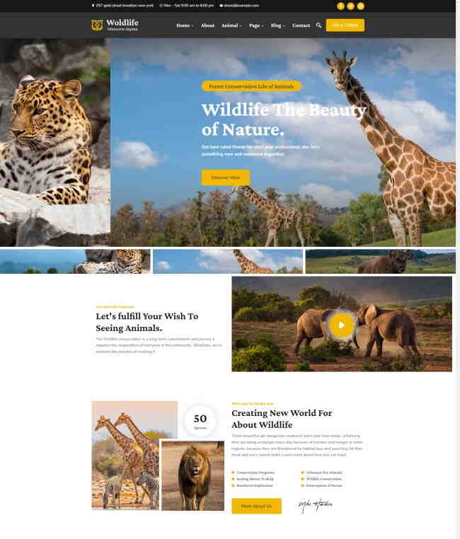响应式野生动物保护宣传网站模板1017