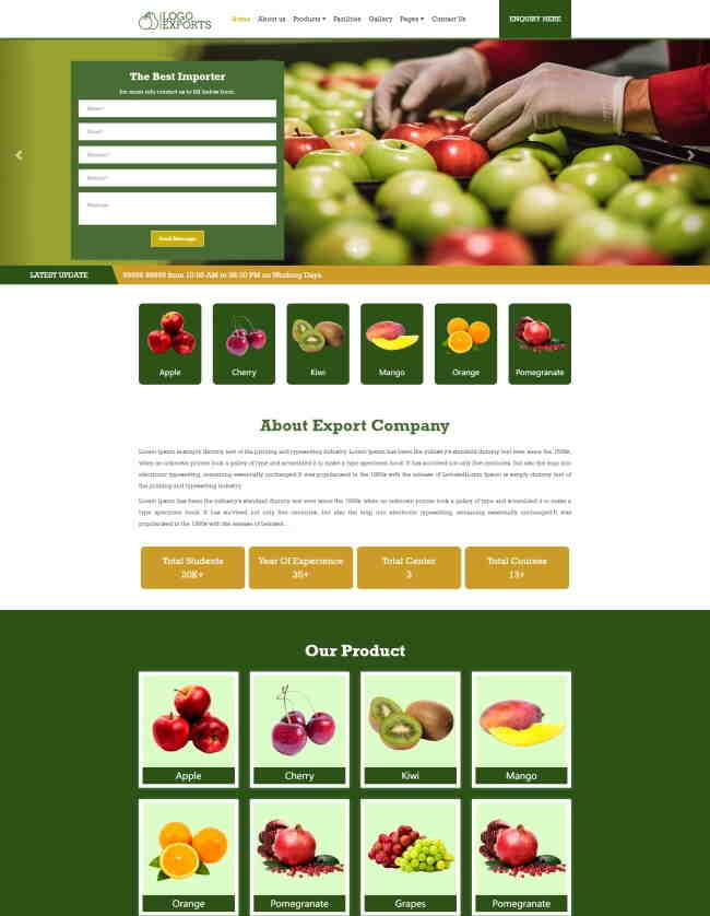 HTML5进出口水果公司宣传网站模板1205