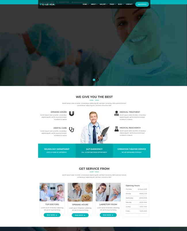 HTML5医疗服务机构宣传网站模板103