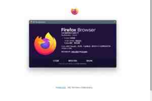 火狐浏览器 tete009 Mozilla Firefox v128.0.2 便携版